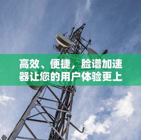 高效、便捷，脸谱加速器让您的用户体验更上一层楼