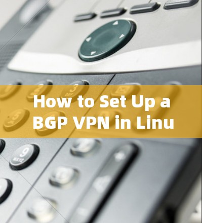 How to Set Up a BGP VPN in Linux:
