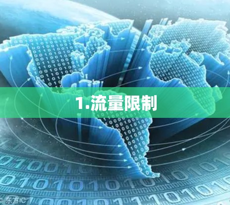 1.流量限制