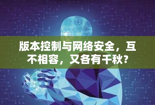 版本控制与网络安全，互不相容，又各有千秋？