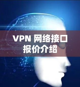 VPN 网络接口报价介绍