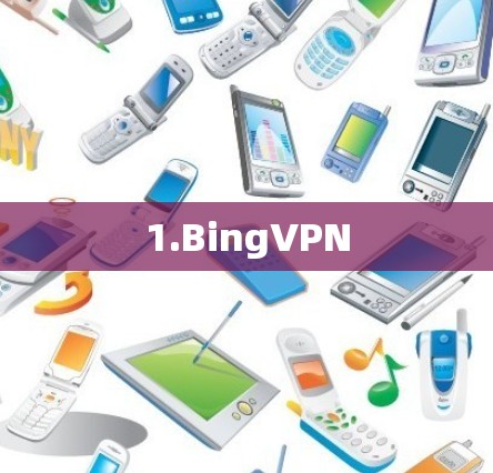 1.BingVPN