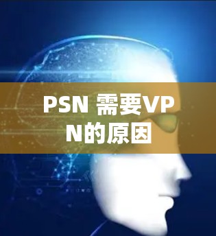 PSN 需要VPN的原因 PSN 需要VPN的原因