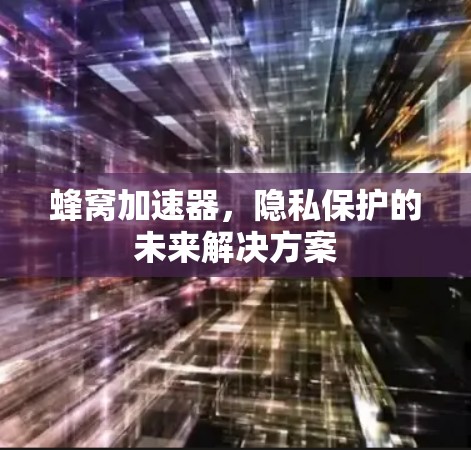 蜂窝加速器，隐私保护的未来解决方案