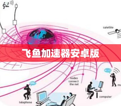 飞鱼加速器安卓版