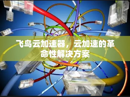 飞鸟云加速器,云加速的革命性解决方案 飞鸟云加速器,云加速的革命性解决方案