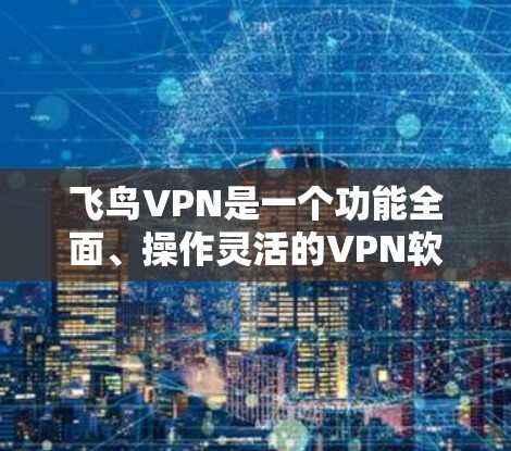 飞鸟VPN是一个功能全面、操作灵活的VPN软件，适合多种需求。以下是其主要特点和操作指南