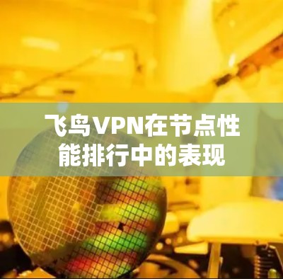 飞鸟VPN在节点性能排行中的表现