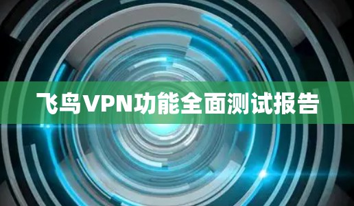飞鸟VPN功能全面测试报告