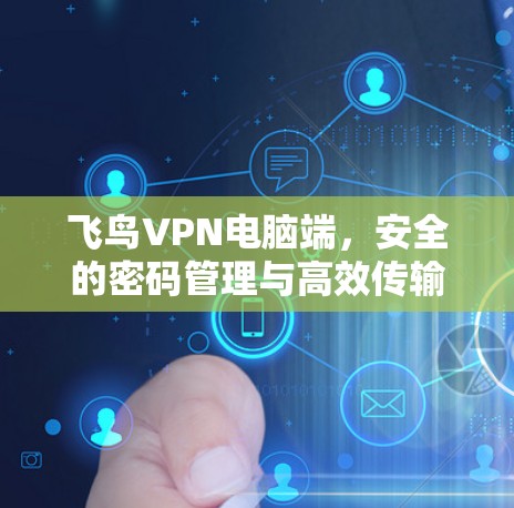 飞鸟VPN电脑端，安全的密码管理与高效传输