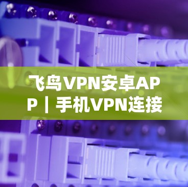 飞鸟VPN安卓APP｜手机VPN连接