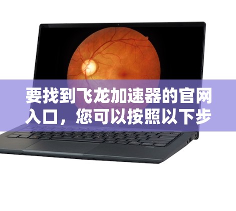 要找到飞龙加速器的官网入口，您可以按照以下步骤操作