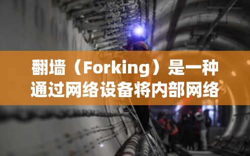 <strong>翻墙</strong>（Forking）是一种通过网络设备将内部网络与外部访问通道连接起来的技术，旨在实现内部与外部的访问。以下是对<strong>翻墙</strong>过程的详细分析及注意事项