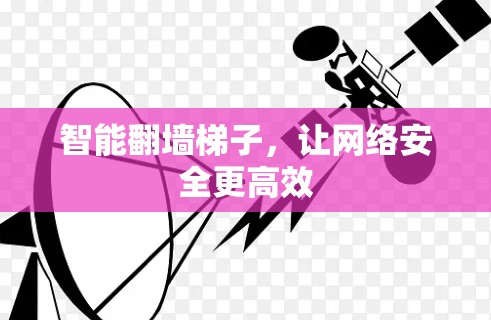 智能翻墙<strong>梯子</strong>，让网络安全更高效
