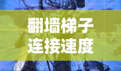 翻墙<strong>梯子</strong>连接速度体验是一个复杂的话题，涉及多个方面，包括技术细节、设备测试、用户反馈以及维护策略。以下是对这一主题的分步总结