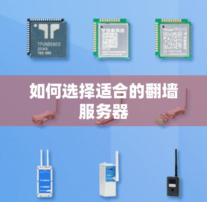 如何选择适合的<strong>翻墙</strong>服务器
