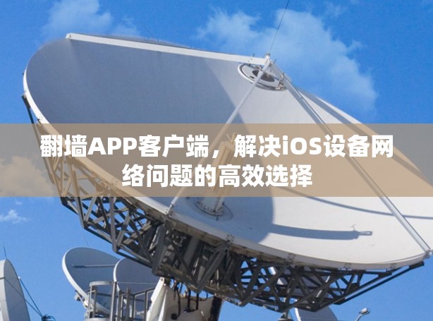 <strong>翻墙</strong>APP客户端，解决iOS设备网络问题的高效选择