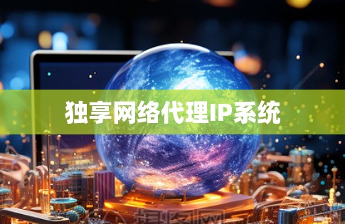 独享网络代理IP系统 独享网络代理IP系统