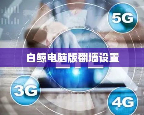 白鲸电脑版<strong>翻墙</strong>设置
