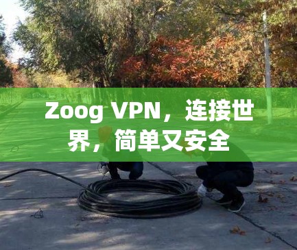 Zoog VPN,连接世界,简单又安全 Zoog VPN,连接世界,简单又安全