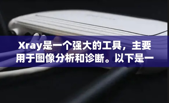 Xray是一个强大的工具，主要用于图像分析和诊断。以下是一步步的使用指南，帮助你更好地理解和使用Xray