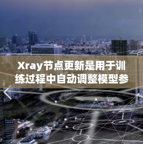 Xray节点更新是用于训练过程中自动调整模型参数的工具,其功能和功能如下 Xray节点更新是用于训练过程中自动调整模型参数的工具,其功能和功能如下