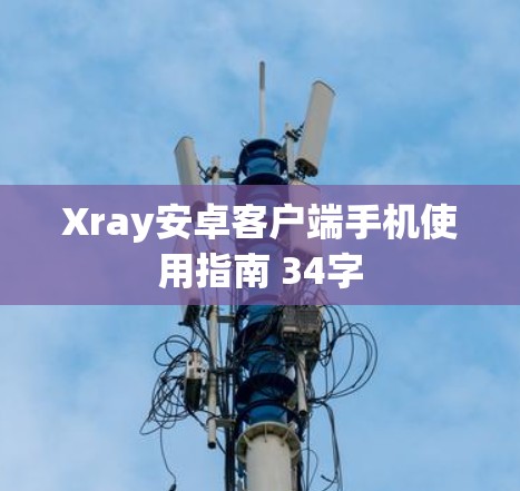 Xray安卓客户端手机使用指南 34字 Xray安卓客户端手机使用指南 34字