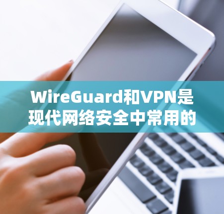 WireGuard和VPN是现代网络安全中常用的工具，用于构建安全的网络连接。以下是对WireGuard电脑版VPN节点配置的详细说明