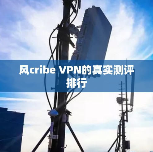 风cribe VPN的真实测评排行