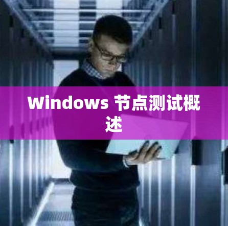 Windows 节点测试概述