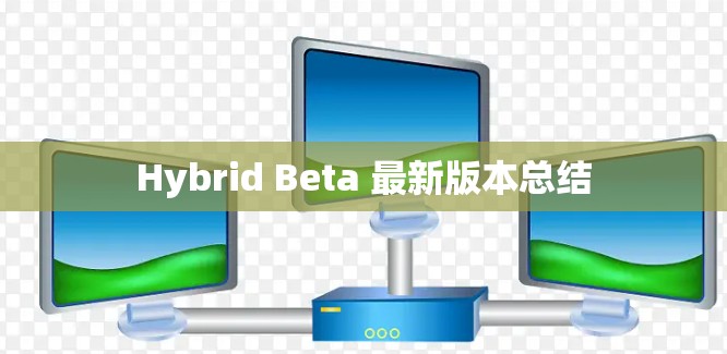 Hybrid Beta 最新版本总结