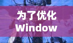 为了优化Windows VPN 的连接，按照以下步骤进行配置