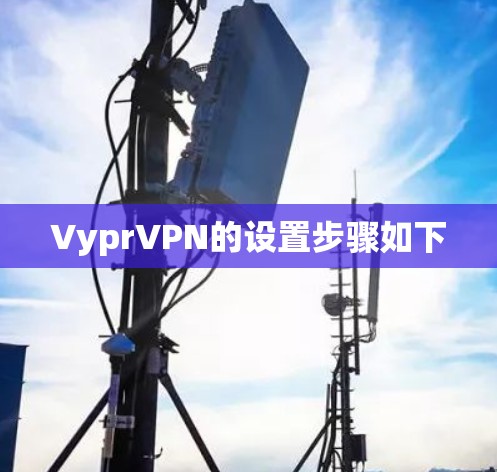 VyprVPN的设置步骤如下