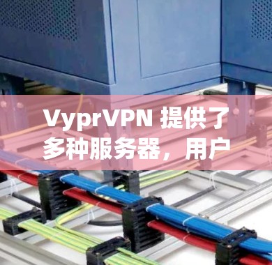 VyprVPN 提供了多种服务器，用户可以根据自己的需求选择合适的服务器。以下是几个常见的 VyprVPN 服务器推荐
