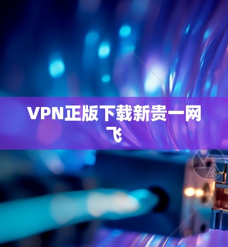 VPN正版下载新贵一网飞