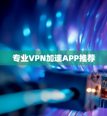 专业VPN加速APP推荐