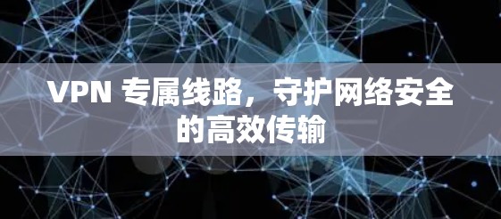 VPN 专属线路，守护网络安全的高效传输