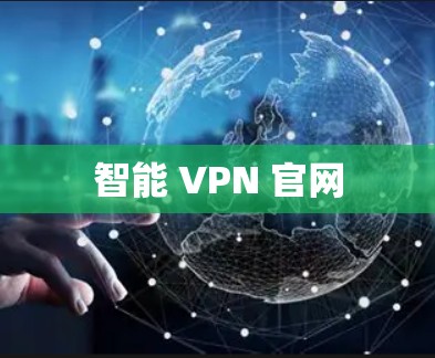 智能 VPN 官网