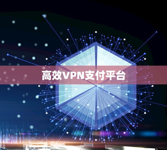 高效VPN支付平台