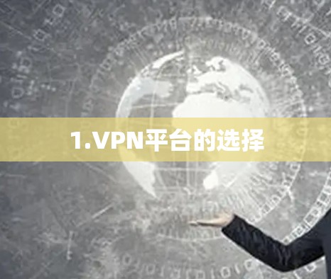 1.VPN平台的选择