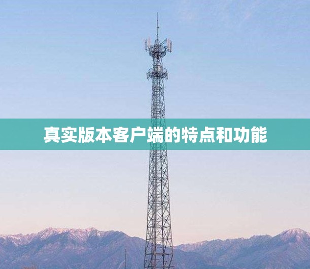 真实版本客户端的特点和功能